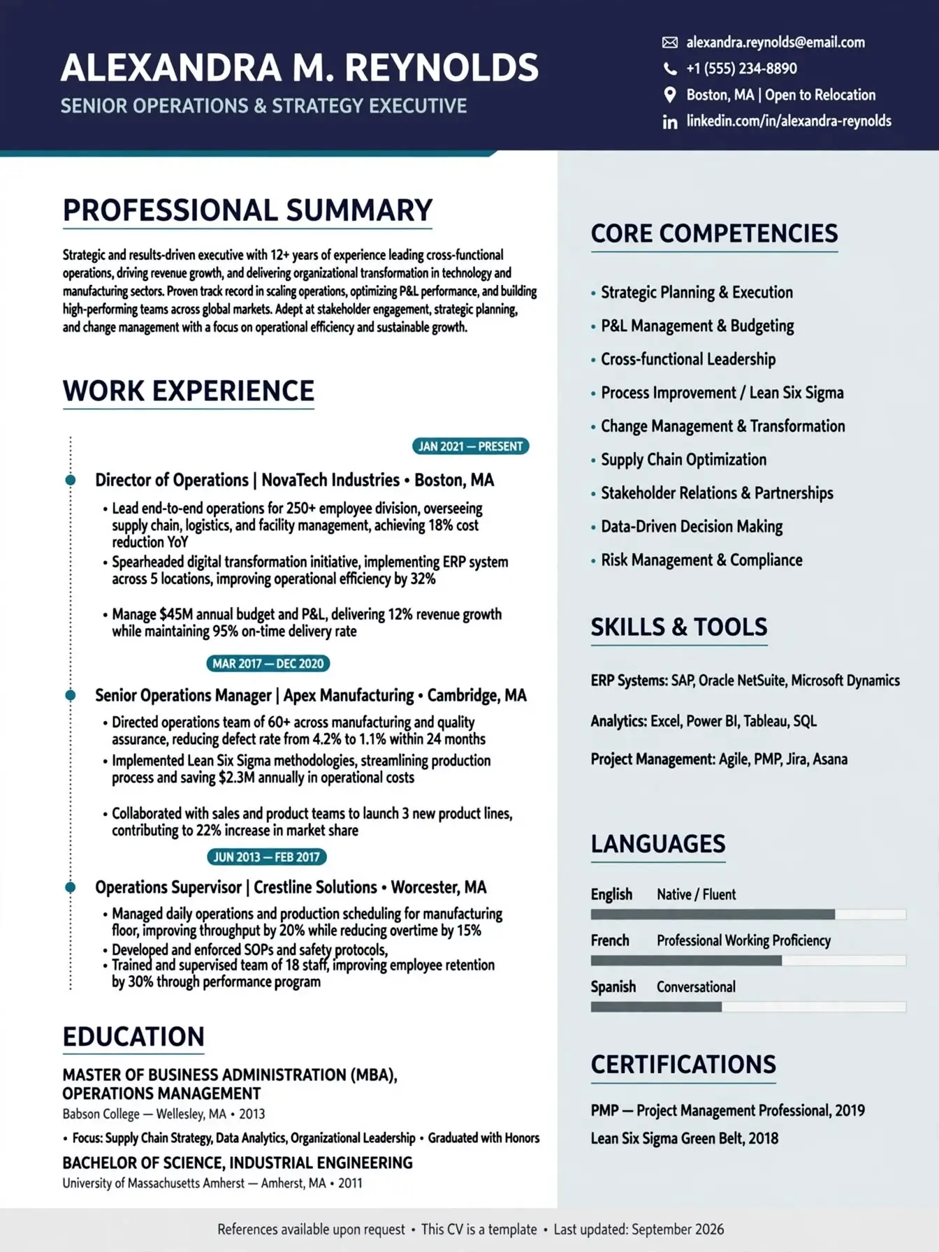 executive timeline cv template free download chronological