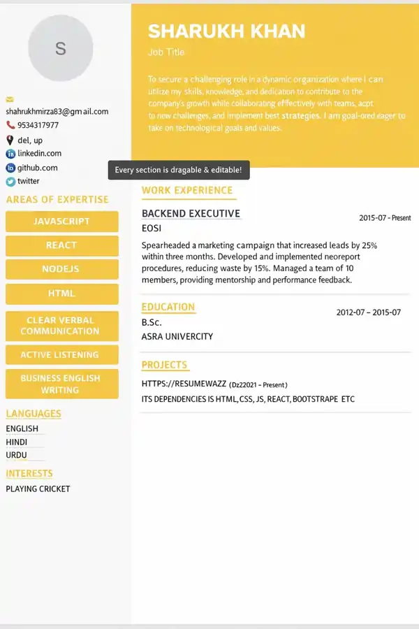 flight attendant resume template free
