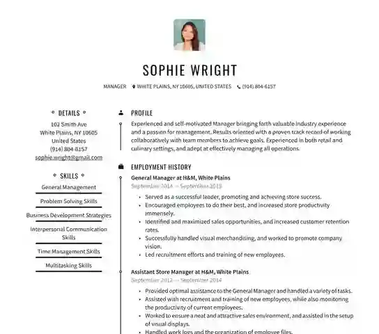 professional resume template 1 free download