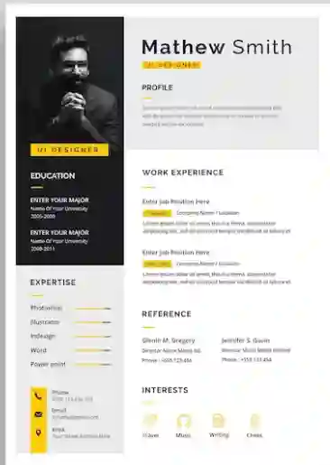 stylish resume example template free