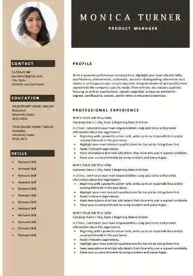 infographic resume design template free