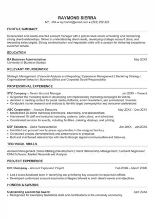 professional resume 3 template free
